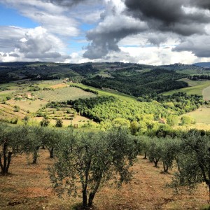 The classic beauty of the Tuscan landscape that attracts thousands of tourists a year